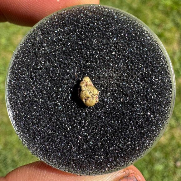 Gold Nugget - Grass Valley, California - 0.37 grams - Picture 1 of 6